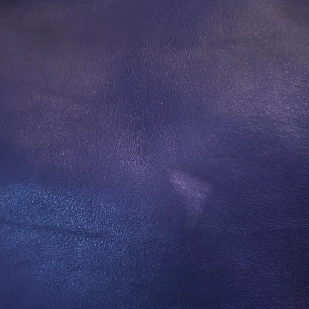 Longchamp 3D Hobo in Purple - Picture 3 of 16